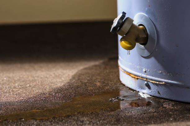 Best Water damage restoration experts  in South Uniontown, PA
