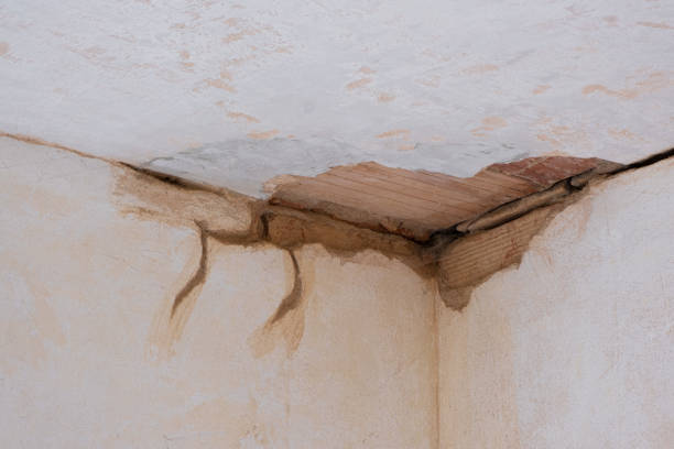 Best Water damage contractors near me  in South Uniontown, PA