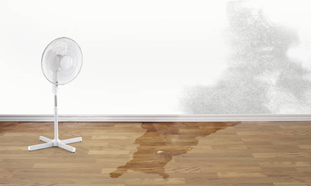 Best Water damage restoration specialists  in South Uniontown, PA