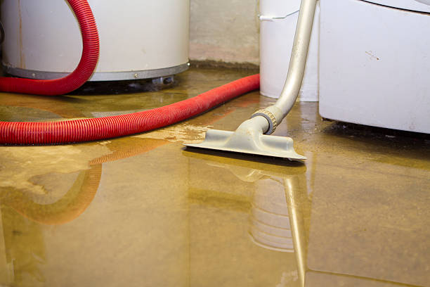 Best Fire Damage Restoration  in South Uniontown, PA