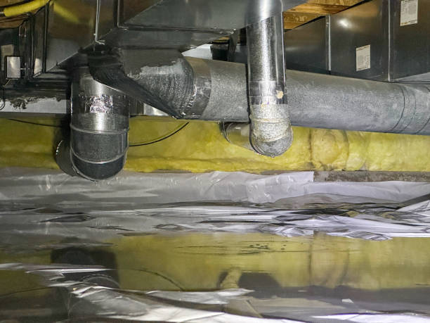 Best Basement water damage restoration  in South Uniontown, PA